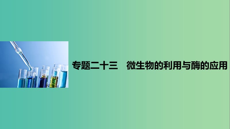 高考生物二轮复习 专题二十三 微生物的利用与酶的应用课件.ppt_第1页