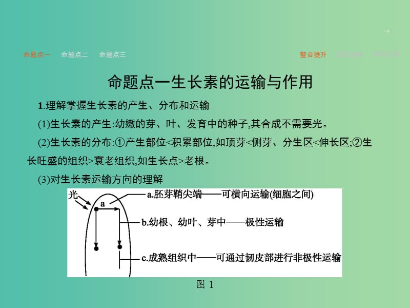 高考生物二轮复习 专题12 植物的激素调节课件.ppt_第2页