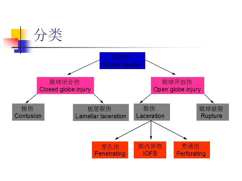 开放性眼外伤的处理时机及原则课件.ppt_第3页