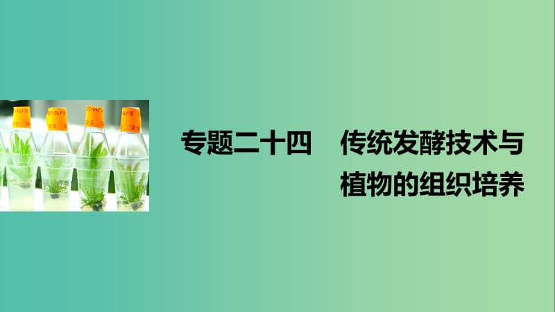 高考生物二轮复习 专题二十四 传统发酵技术与植物的组织培养课件.ppt_第1页