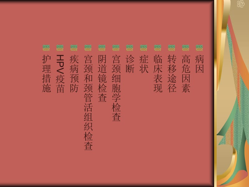 宫颈癌预防及护理措施.ppt_第2页