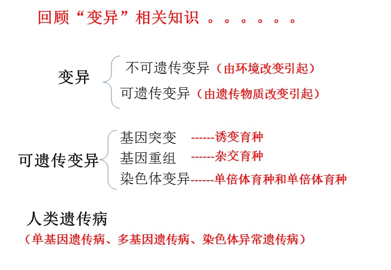 杂交育种与诱变育种.ppt_第2页