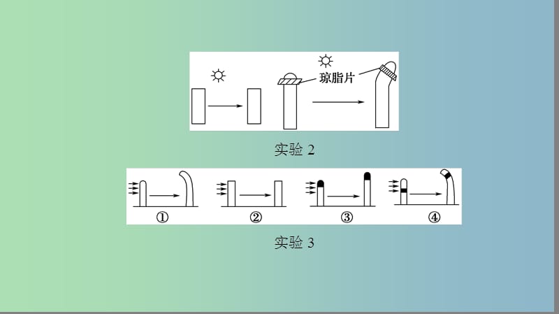 高三生物一轮复习第8单元第5讲植物的激素调节课件新人教版.ppt_第3页