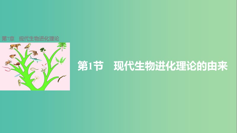 高中生物 7.1 现代生物进化理论的由来课件 新人教版必修2.ppt_第1页