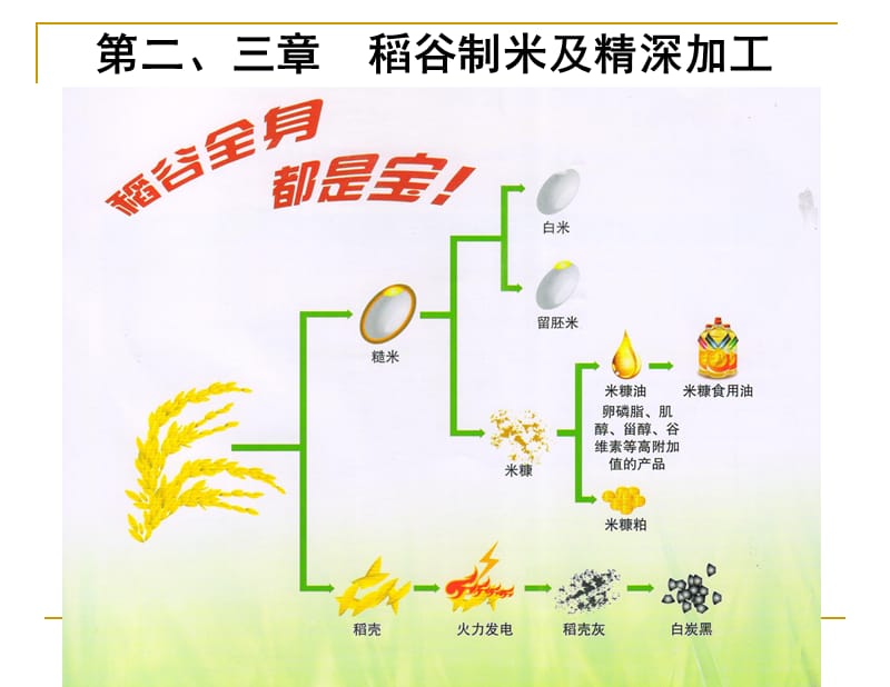 粮油加工学第二章稻谷制米.ppt_第1页