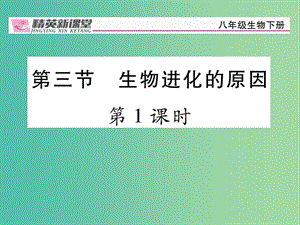 八年級生物下冊 第七單元 第三章 第三節(jié) 生物進化的原因（第1課時）課件 （新版）新人教版.ppt