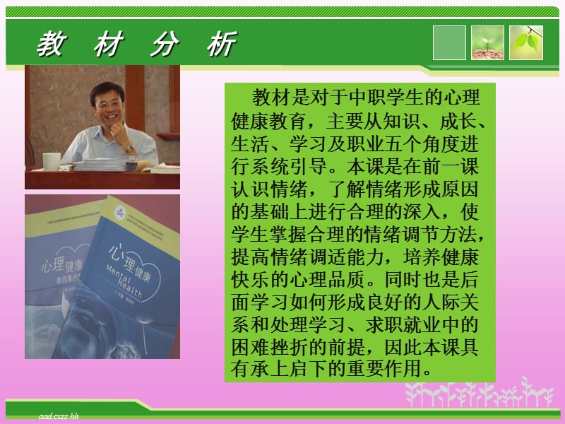 心理健康说课课件.ppt_第3页