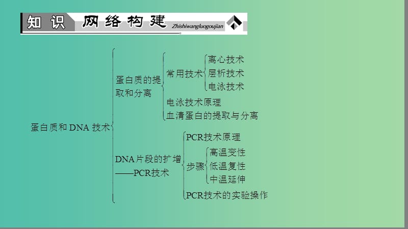 高中生物 第6章 蛋白质和DNA技术章末复习提升课课件 中图版选修1.ppt_第2页