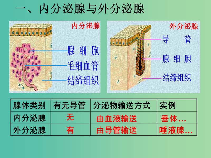 七年级生物下册 4.6.4 激素调节课件 新人教版.ppt_第2页