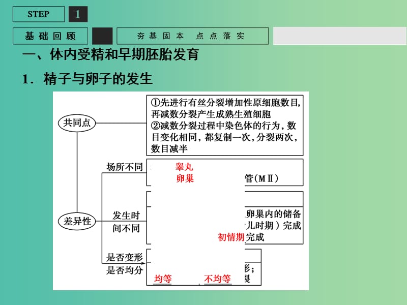 高考生物一轮复习 现代生物科技专题 基础课时案46 胚胎工程及生物技术的伦理问题课件 新人教版选修3.ppt_第3页