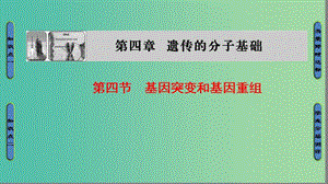 高中生物 第4章 遺傳的分子基礎(chǔ) 第4節(jié) 基因突變和基因重組課件 蘇教版必修2.ppt