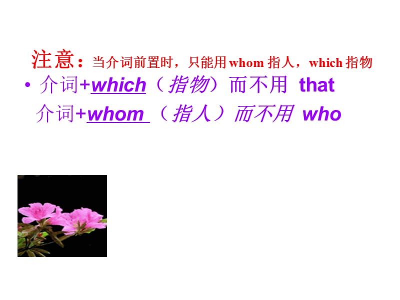 定语从句介词+which-介词+whom.ppt_第3页