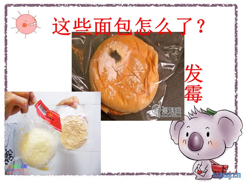 幼儿园课件《食品安全》.ppt_第2页