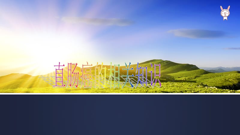 直肠癌伴多发转移的护理查房.ppt_第2页