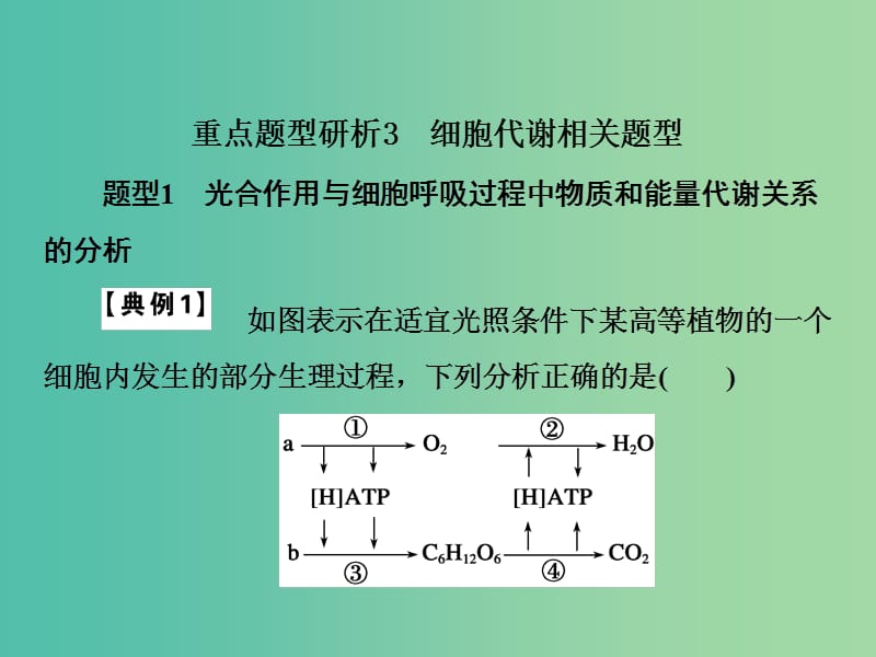 高考生物一轮复习 考能专项突破3 细胞代谢课件.ppt_第2页