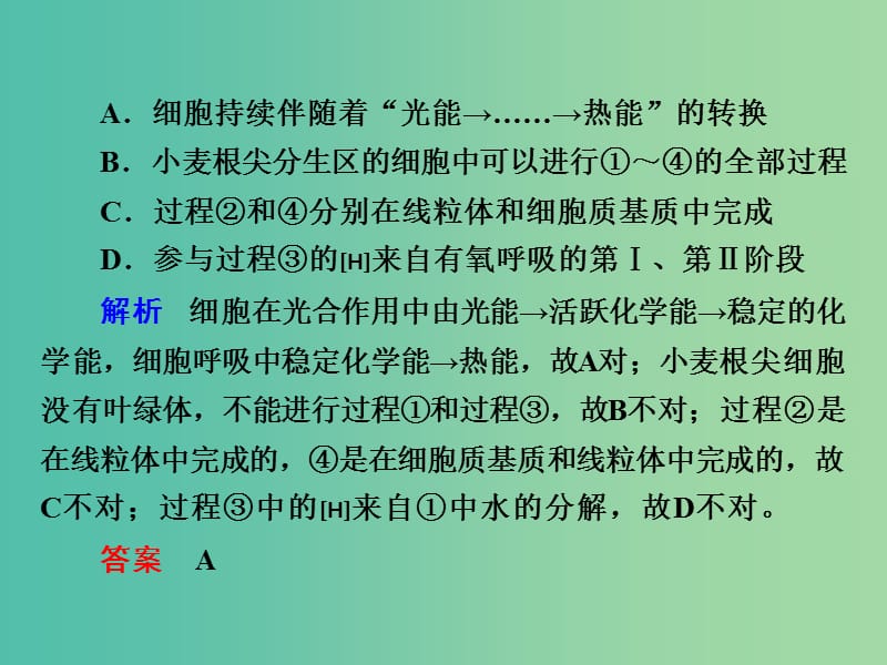 高考生物一轮复习 考能专项突破3 细胞代谢课件.ppt_第3页