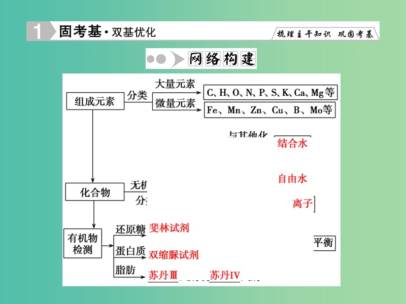 高考生物一轮复习 2.1细胞中的元素和化合物 细胞中的无机物课件 新人教版必修1.ppt_第3页