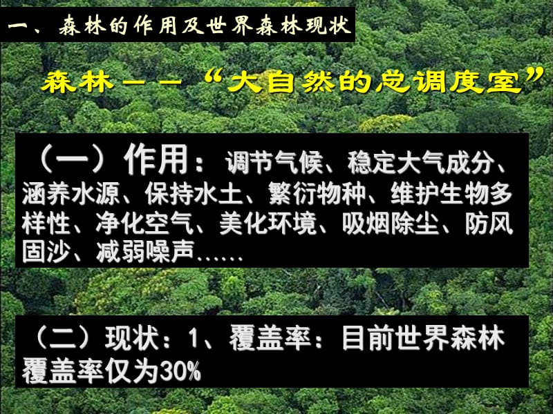 热带雨林的开发与保护.ppt_第2页