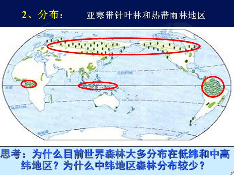 热带雨林的开发与保护.ppt_第3页