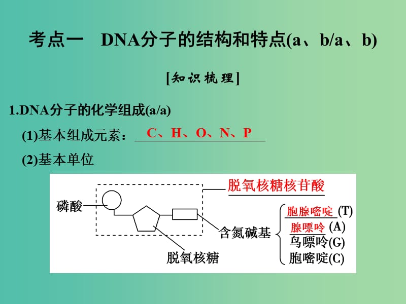 高考生物总复习 第四单元 遗传的分子基础 第13讲 DNA分子的结构特点及遗传信息的传递与表达课件.ppt_第2页