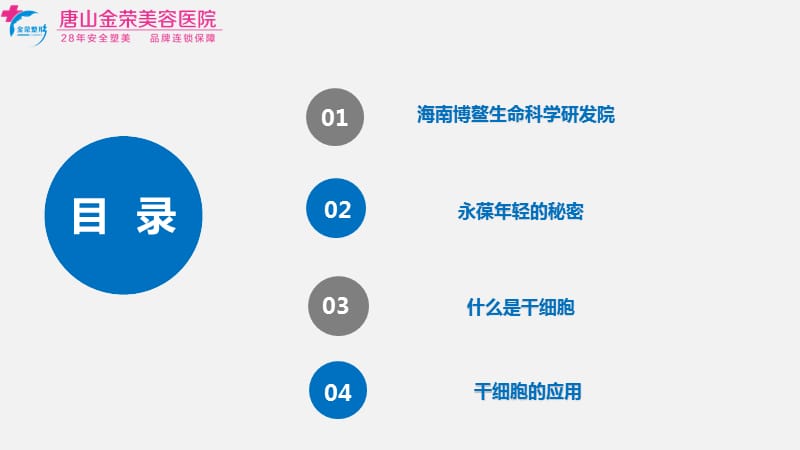 干细胞与抗衰老的秘密.ppt_第2页