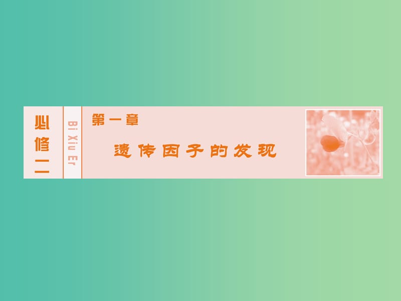 高考生物大一轮复习 第一章 第2节 孟德尔的豌豆杂交实验(二)课件 新人教版必修2.ppt_第1页