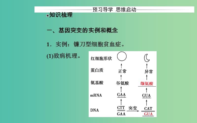 高中生物 第5章 基因突变及其他变异 第1节 基因突变和基因重组课件 新人教版必修2.ppt_第3页