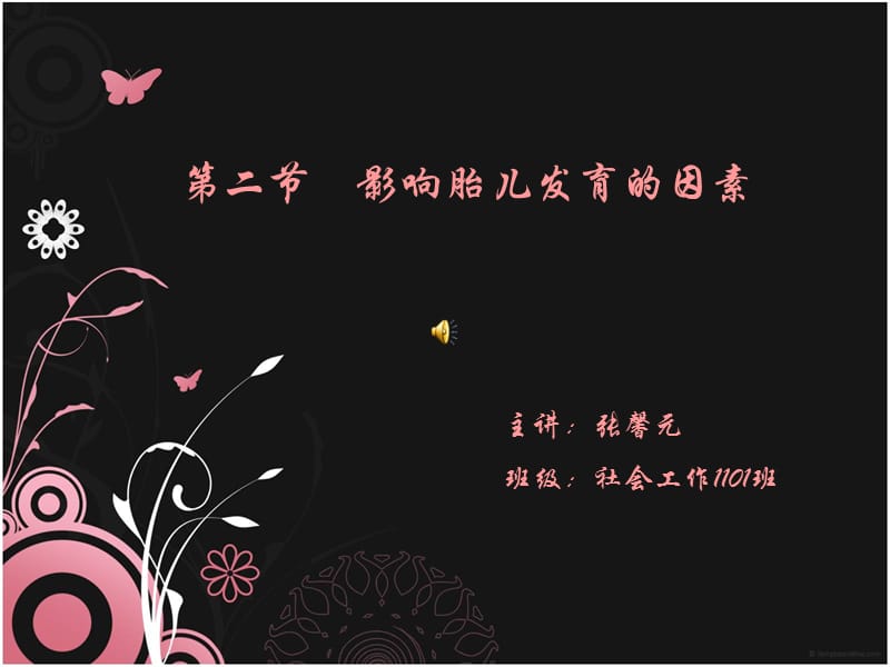 影响胎儿发育的因素.ppt_第1页