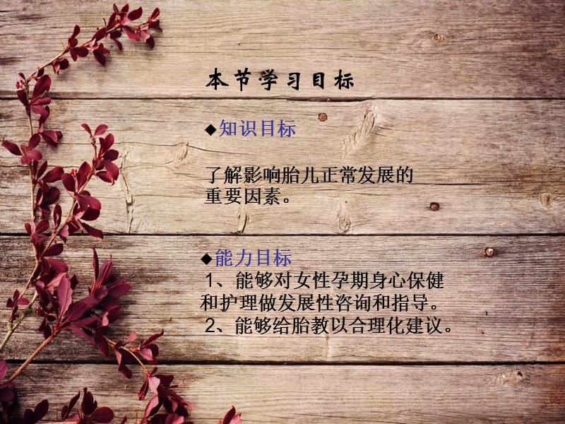 影响胎儿发育的因素.ppt_第2页