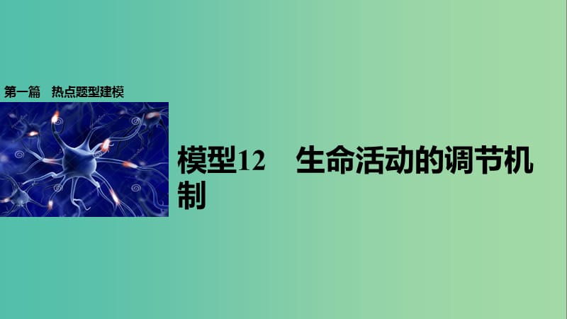 高考生物大二轮专题复习与增分策略 热点题型建模 模型12 生命活动的调节机制课件.ppt_第1页