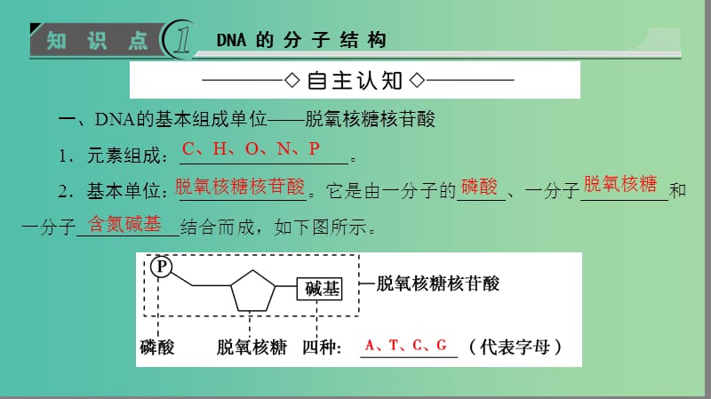 高中生物 第3单元 遗传与变异的分子基础 第1章 遗传的物质基础 第2节 DNA的分子结构课件 中图版必修2.ppt_第3页