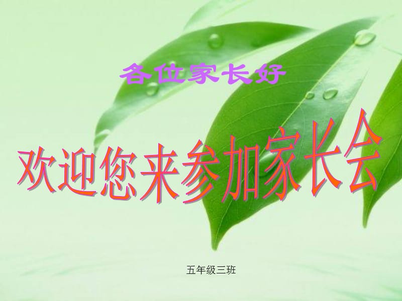 家长会语文老师发言.ppt_第1页