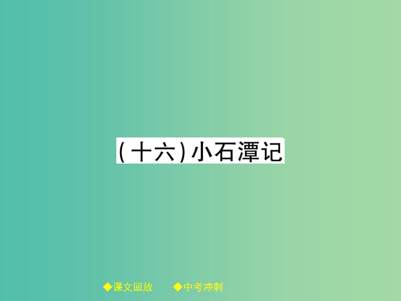 中考语文总复习 第2部分 古诗文积累与阅读 专题14 文言文阅读（规定篇目复习）（16）小石潭记课件.ppt_第1页