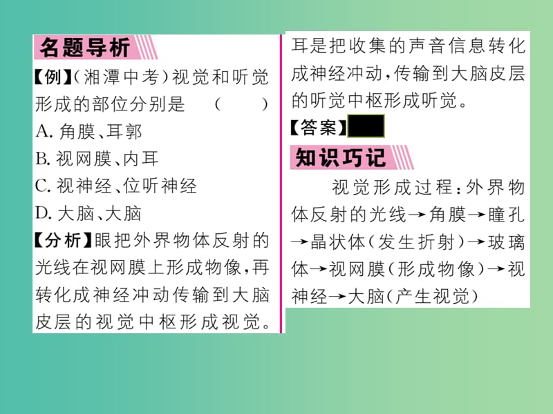 七年级生物下册 第六章 第一节 人体对外界环境的感知课堂课件（1）（新版）新人教版.ppt_第3页