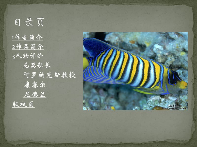 海底两万里课件.ppt_第2页