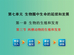 八年級生物下冊第7單元第1章第3節(jié)兩棲動物的生殖和發(fā)育課件新版新人教版.ppt