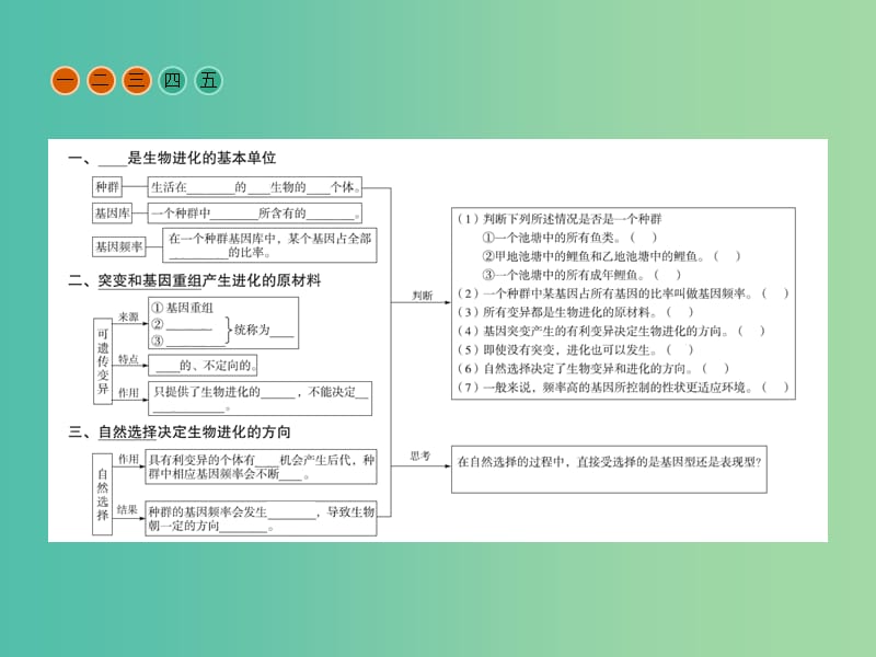 高中生物 第7章 现代生物进化理论 第2节 现代生物进化理论的主要内容课件 新人教版必修2.ppt_第3页