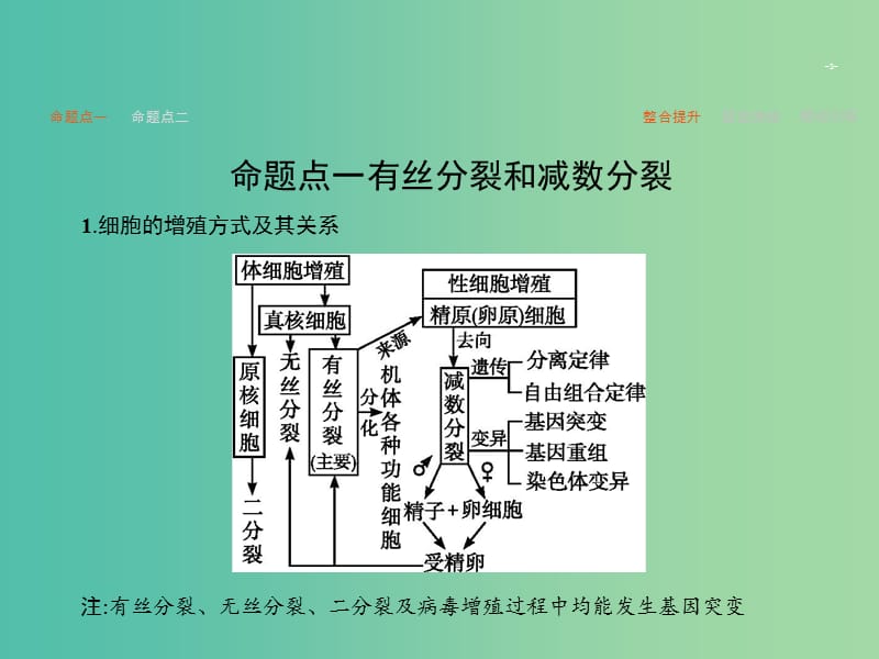 高考生物二轮复习 专题5 细胞的增殖和受精作用课件.ppt_第3页