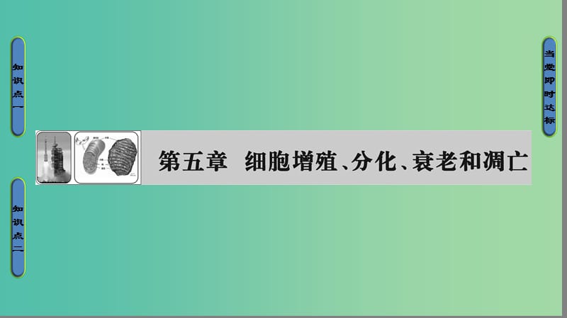 高中生物 第5章 细胞增殖、分化、衰老和凋亡 第1节 细胞增殖（第1课时）细胞周期与有丝分裂课件 苏教版必修1.ppt_第1页