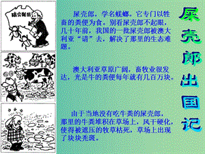 七年級(jí)生物上冊(cè) 1.1.2 生物與環(huán)境的關(guān)系 屎殼郎出國(guó)記課件 蘇教版.ppt