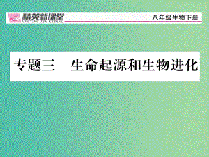 八年級生物下冊 專題三 生命起源和生物進(jìn)化課件 （新版）新人教版.ppt