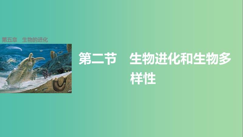 高中生物 5.2 生物进化和生物多样性课件 苏教版必修2.ppt_第1页