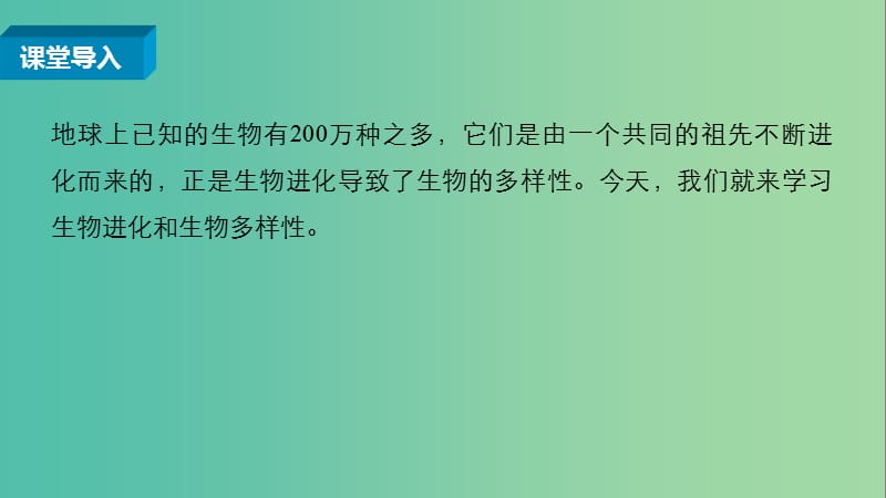 高中生物 5.2 生物进化和生物多样性课件 苏教版必修2.ppt_第3页