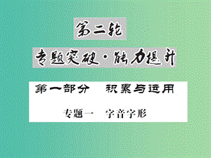 中考語文總復(fù)習 專題一 字音與字形課件.ppt