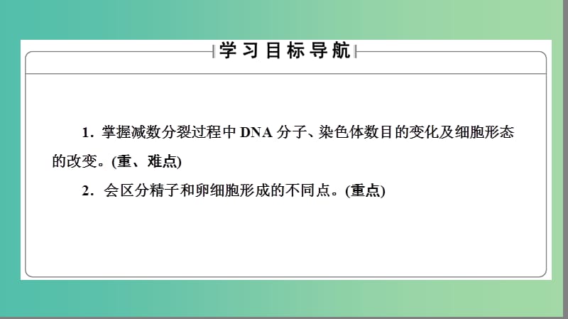 高中生物 第2章 基因和染色体的关系 第1节 减数分裂和受精作用（Ⅰ）课件 新人教版必修2.ppt_第2页