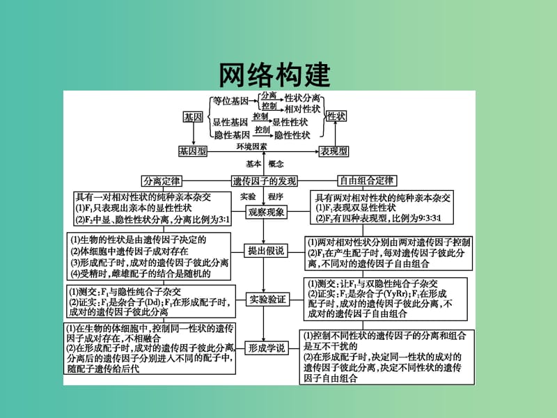 高中生物 第1章 第2节 遗传因子的发现章末整合课件 新人教版必修2.ppt_第3页