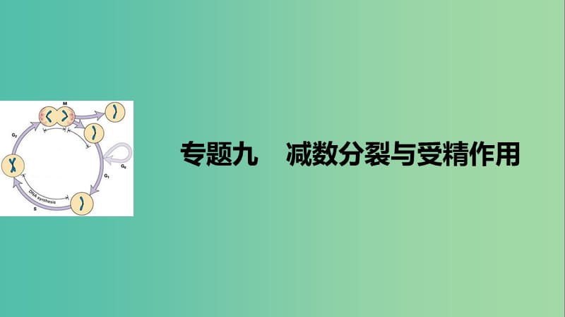 高考生物二轮复习 专题九 减数分裂与受精作用课件.ppt_第1页