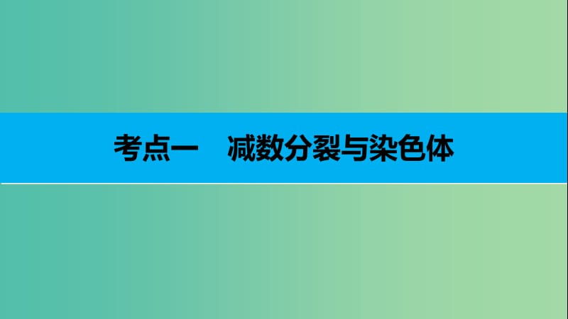 高考生物二轮复习 专题九 减数分裂与受精作用课件.ppt_第3页