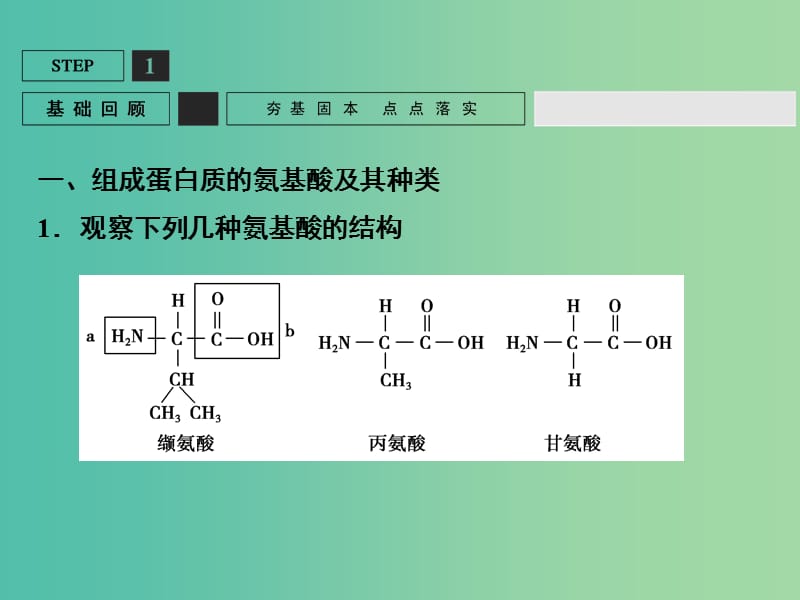 高考生物一轮复习 第1单元 基础课时案3 生命活动的主要承担者-蛋白质课件 新人教版必修1.ppt_第3页