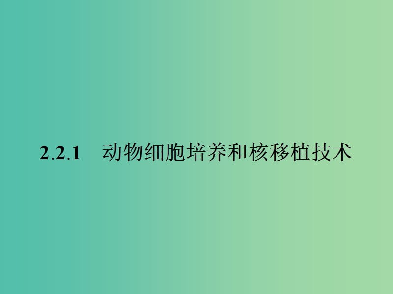 高中生物 2.2.1 动物细胞培养和核移植技术课件 新人教版选修3.ppt_第2页